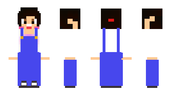 Minecraft skin miochi