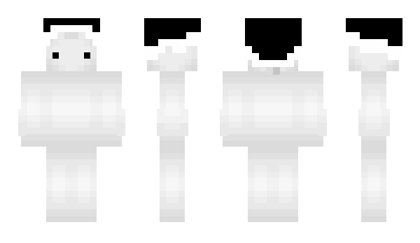 Minecraft skin b0ok