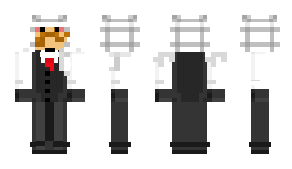 Minecraft skin Twilzzy