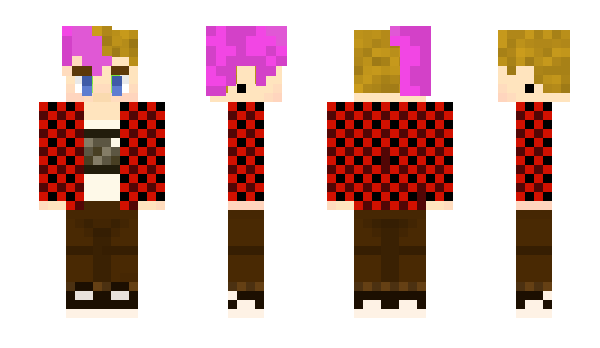 Minecraft skin t00dle