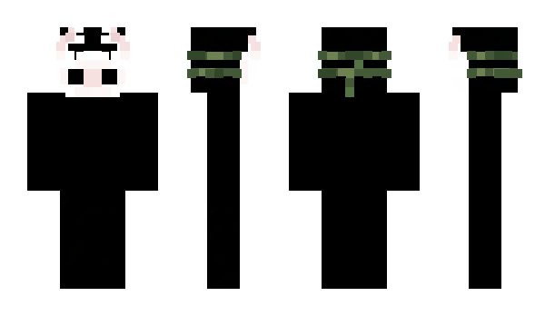 Minecraft skin aetherwashere2