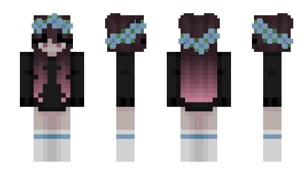 Minecraft skin ThePenCollect