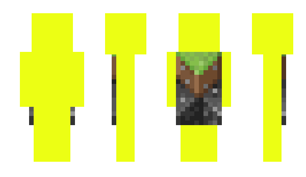 Minecraft skin ddonu
