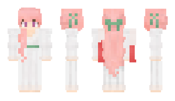 Minecraft skin Akyza