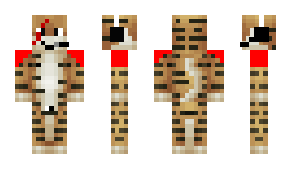 Minecraft skin Flashpack1213