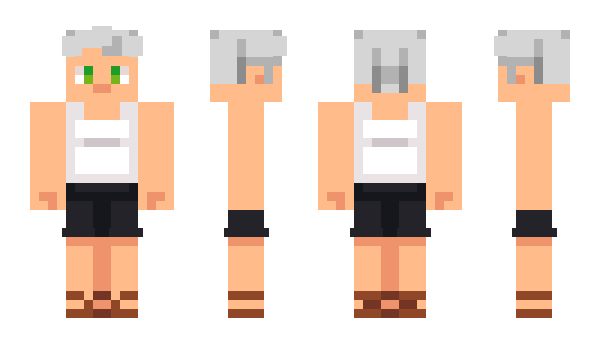 Minecraft skin FuchsXYT