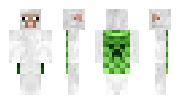 Minecraft skin kbownsvenezlol