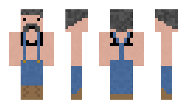 Minecraft skin Zeldy