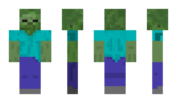 Minecraft skin schwarzkatz1