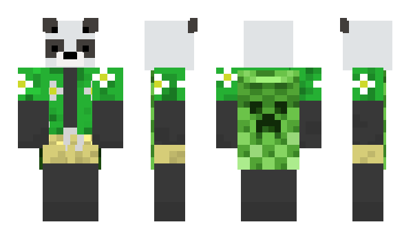 Minecraft skin MRpanda00