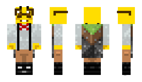 Minecraft skin Zeedys