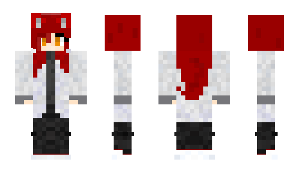 Minecraft skin stepakk