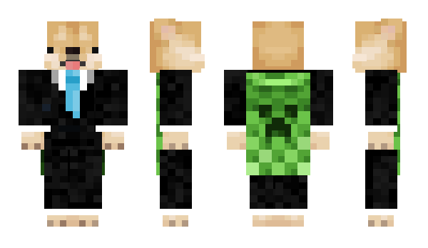 Minecraft skin qmir