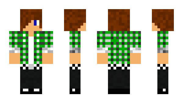 Minecraft skin Skreczu