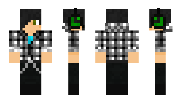 Minecraft skin kung00