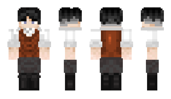 Minecraft skin FREINDEI