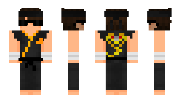 Minecraft skin HermitEnd