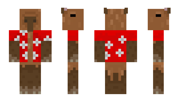 Minecraft skin Thekako