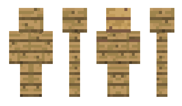 Minecraft skin carl10