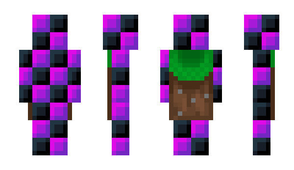 Minecraft skin Bluurf