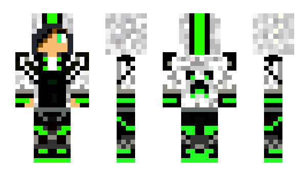 Minecraft skin MircoCelle