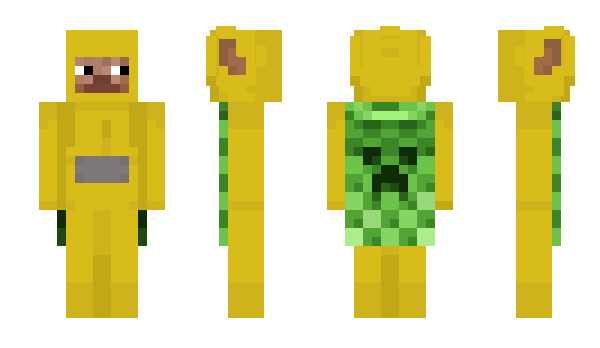 Minecraft skin pnij