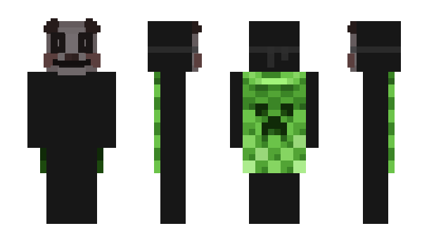 Minecraft skin 5tey