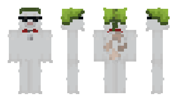 Minecraft skin michiDvD