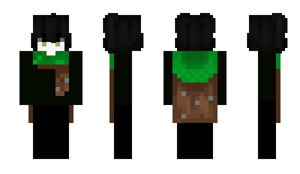 Minecraft skin vlvidd