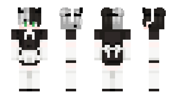 Minecraft skin AsianElite