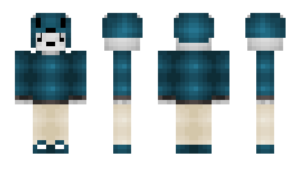Minecraft skin _Perry_Top_