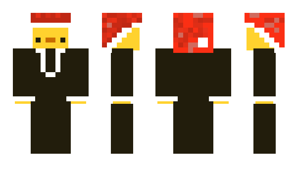 Minecraft skin QDuck