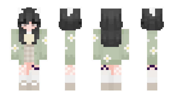 Minecraft skin am3ri