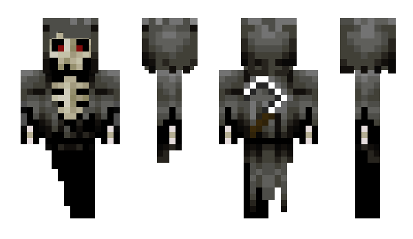 Minecraft skin wa_eagle