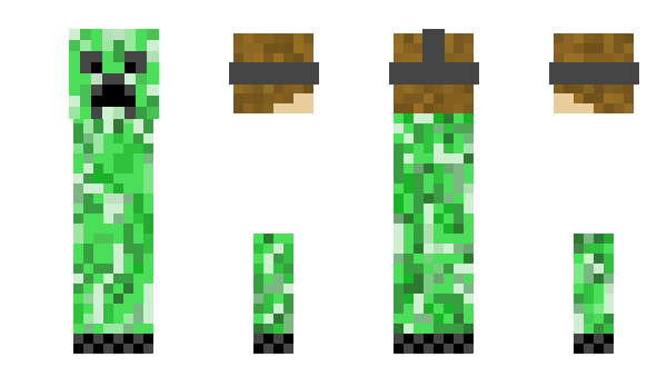 Minecraft skin Hoche