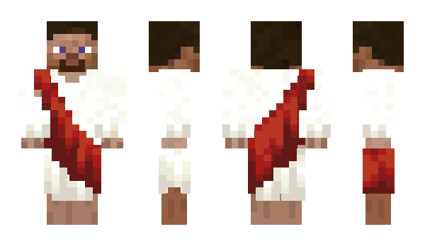 Minecraft skin phoenixzzs