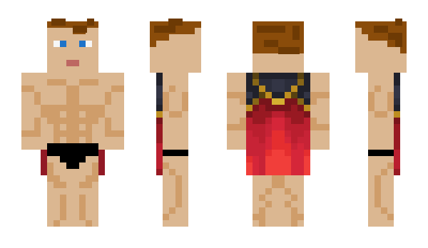 Minecraft skin CQ5