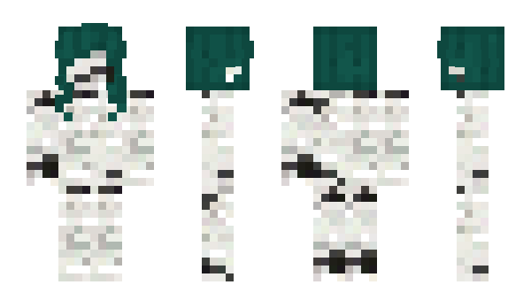 Minecraft skin Duckstepp