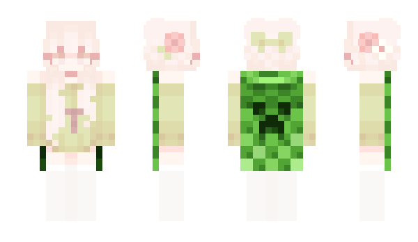 Minecraft skin 23567