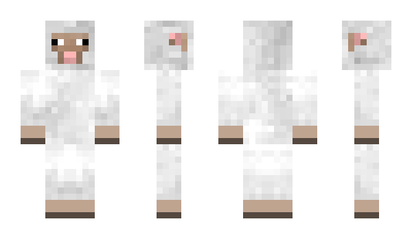 Minecraft skin DoctorDo