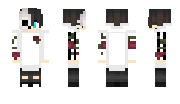 Minecraft skin Conquerer