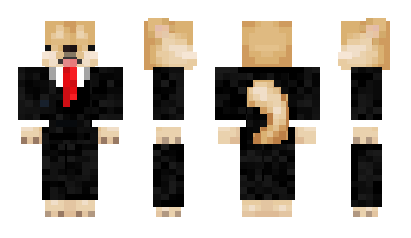 Minecraft skin B4LU