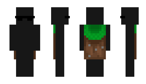 Minecraft skin ainlaipys