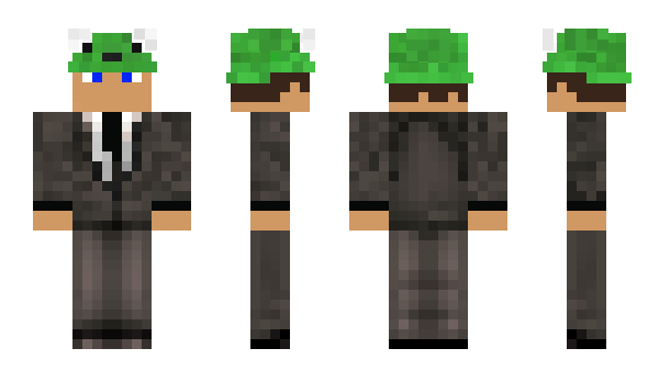 Minecraft skin Logggy