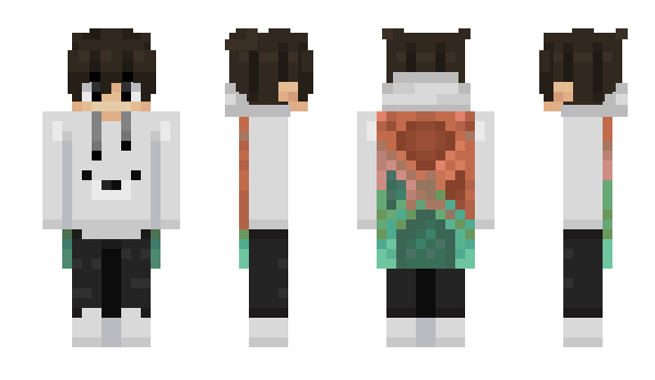 Minecraft skin MeDevLive