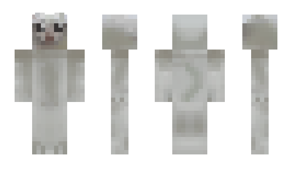 Minecraft skin HaceHace