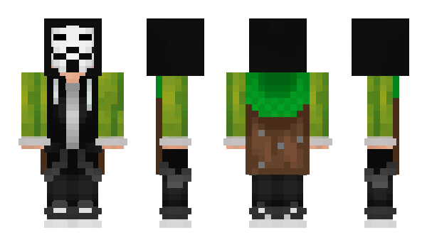 Minecraft skin HauseLess