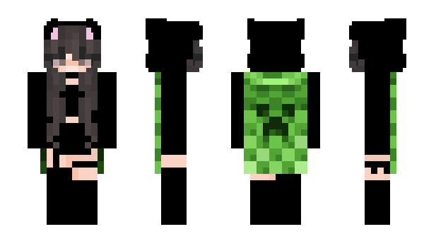 Minecraft skin qhsg