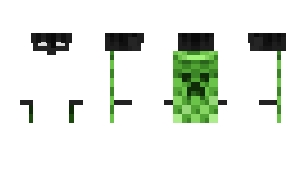 Minecraft skin skajek_