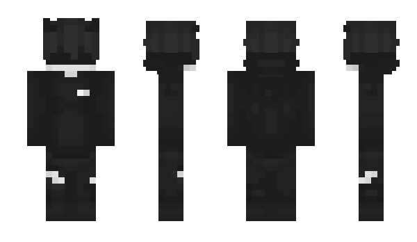 Minecraft skin SeirRIP